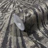 33705 closeup