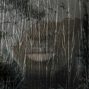 Alternative view of 33799 PAPIS LOVEDAY