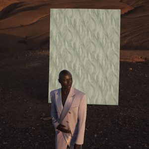 Alternative view of 33709 PAPIS LOVEDAY