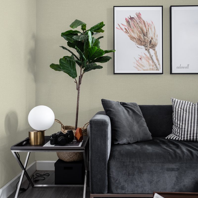 Whiteline Decor shop