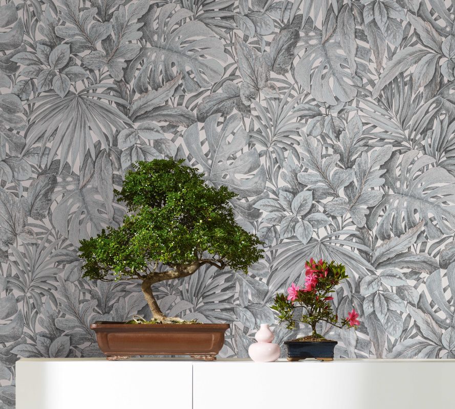 Whiteline Decor shop