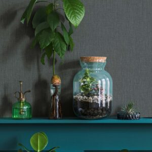 33917 / 33967 BOTANICA