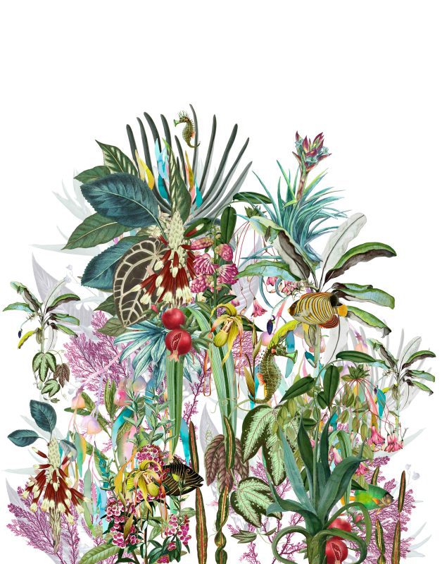 Whiteline Decor shop