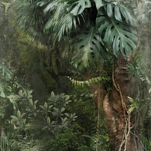 1000008 CUSTOMISE WALLPAPER