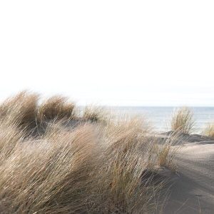 1000019 CUSTOMISE WALLPAPER