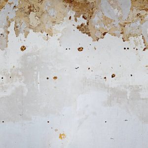 1000026 CUSTOMISE WALLPAPER