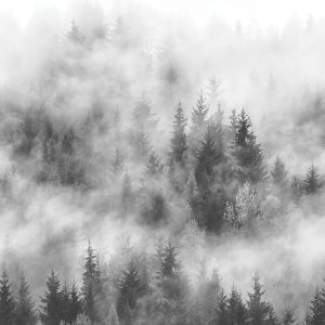 1000068 CUSTOMISE WALLPAPER