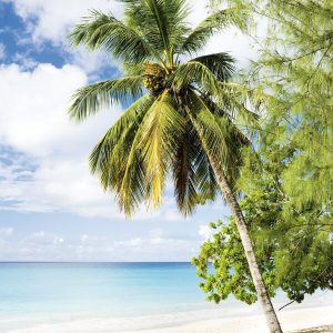 1000069 CUSTOMISE WALLPAPER