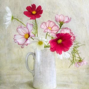 1000087 CUSTOMISE WALLPAPER