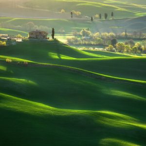 1000099 CUSTOMISE WALLPAPER