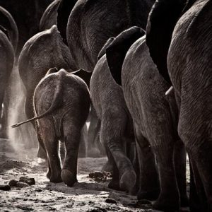 1000100 CUSTOMISE WALLPAPER