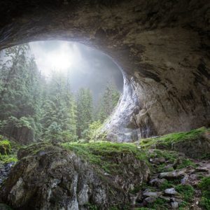 1000102 CUSTOMISE WALLPAPER