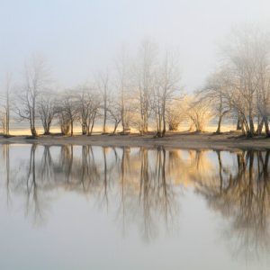 1000109 CUSTOMISE WALLPAPER