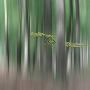 1000112 CUSTOMISE WALLPAPER