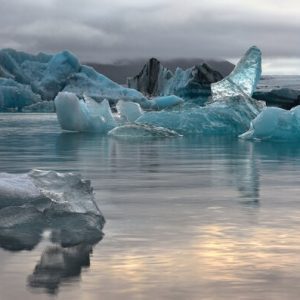 1000113 CUSTOMISE WALLPAPER