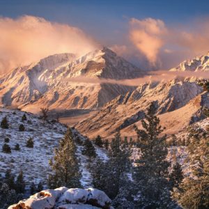 1000116 CUSTOMISE WALLPAPER