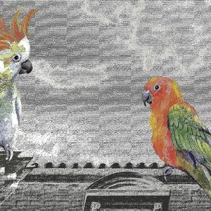 Alternative view of FJ308-1 FIJI