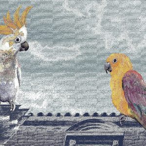 Alternative view of FJ308-2 FIJI