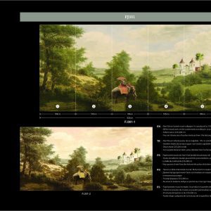 Alternative view of FJ301-1 FIJI