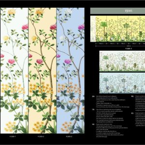 Alternative view of FJ305-1 FIJI