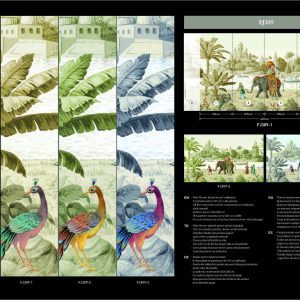 Alternative view of FJ309-2 FIJI