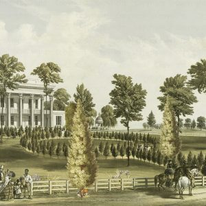 White line decor wallpaper