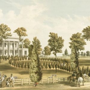 White line decor wallpaper