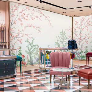 Alternative view of FJ306-1 FIJI