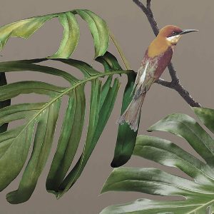 Alternative view of FJ300-3 FIJI