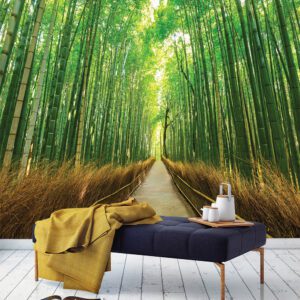 M1047 MONETA (LANDSCAPE)