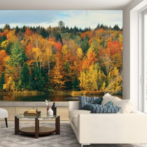 M1052 MONETA (LANDSCAPE)