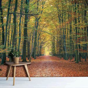 M877 MONETA (LANDSCAPE)