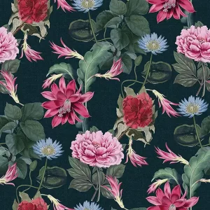 Alternative view of Checking out Nature - Nimphea TD4105