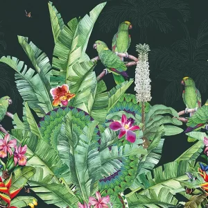 Alternative view of Checking out Nature- Lorinea TD4110