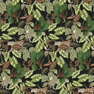 Alternative view of Checking out Nature- Flora TD4113