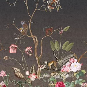 Alternative view of Checking out Nature- Suricata Night TD4133