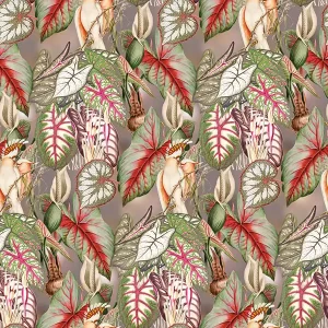 Alternative view of Checking out Nature- Rubea TD4138