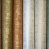 WALLPAPER WHITELINE DECOR