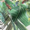 SPIRIT OF THE JUNGLE - Image 6