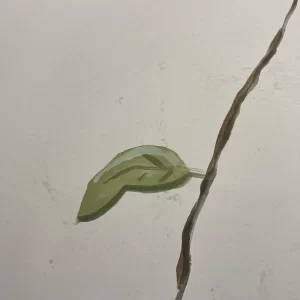 wallpaper whiteline decor