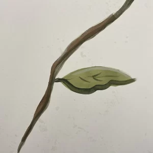 wallpaper whiteline decor