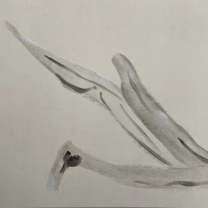 wallpaper whiteline decor