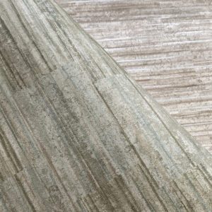 Alternative view of PA01612 PAVONE