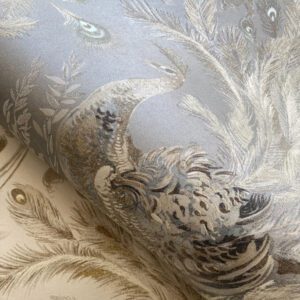 Alternative view of PA01616 PAVONE