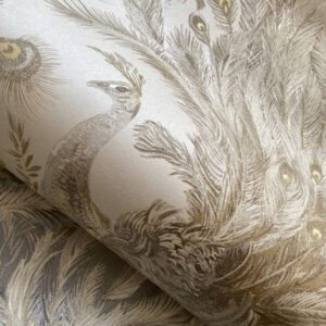 Alternative view of PA01617 PAVONE