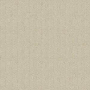 PA01619 PAVONE