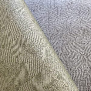 Alternative view of PA01621 PAVONE