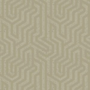 PA01632 PAVONE