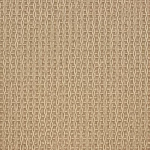 BEYOND BASICS / Hula