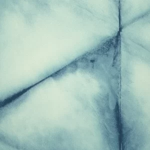 BEYOND BASICS / Nara